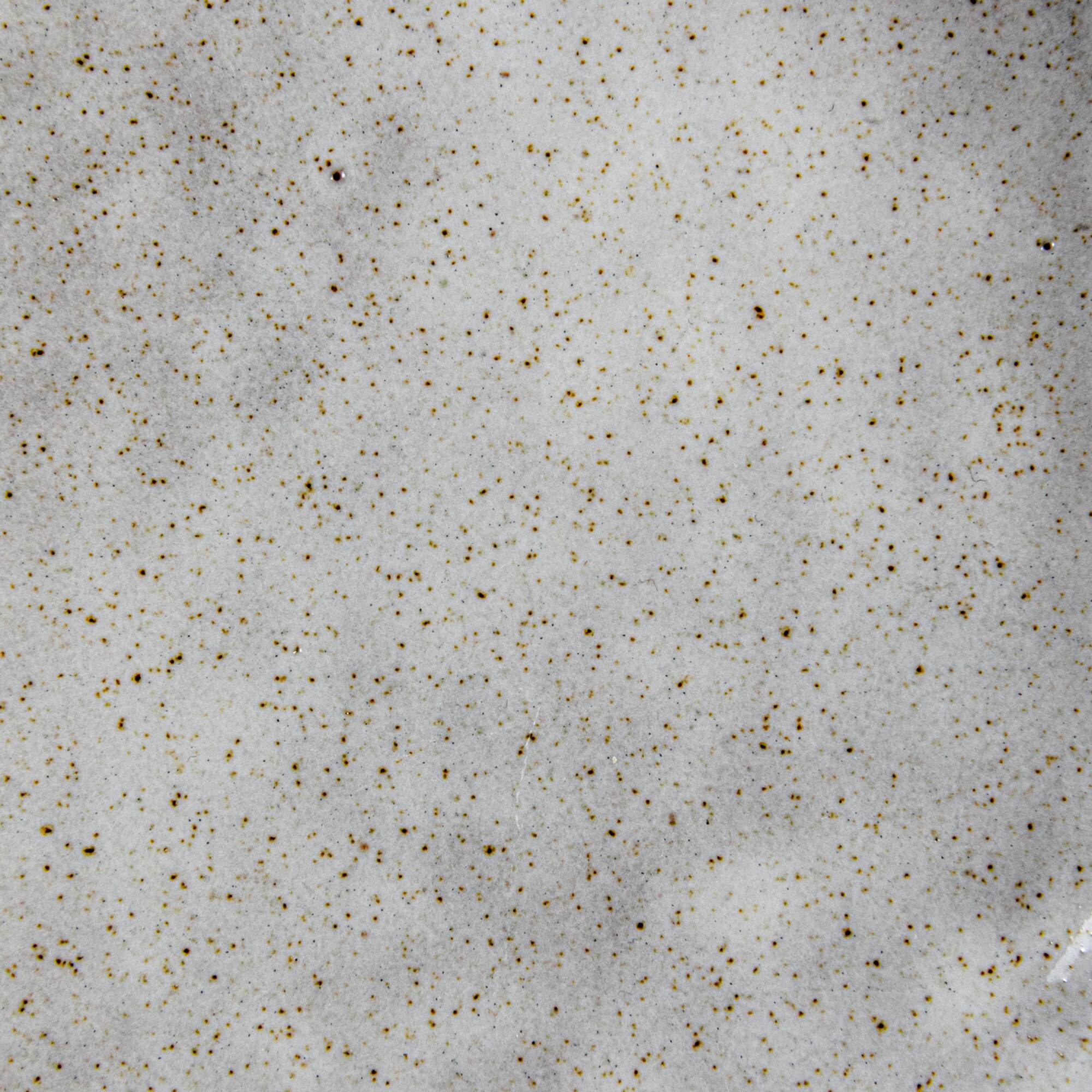Hello Honey® 5" White Speckled Stoneware Organic Shaped Footed Dish